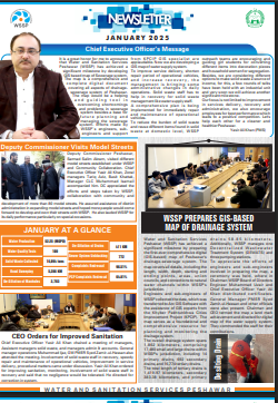 Newsletter January 2025